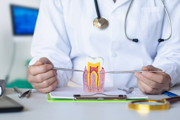Best Broken Tooth Emergency  in Eagleville, PA